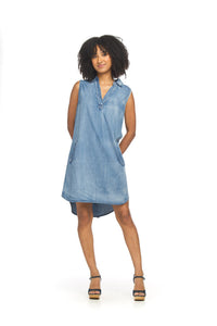 Papillon Denim Collared Shirt Dress