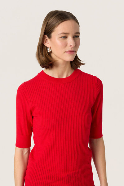 Soaked in Luxury 'Spina' Knit Pullover Tee - Goji Berry
