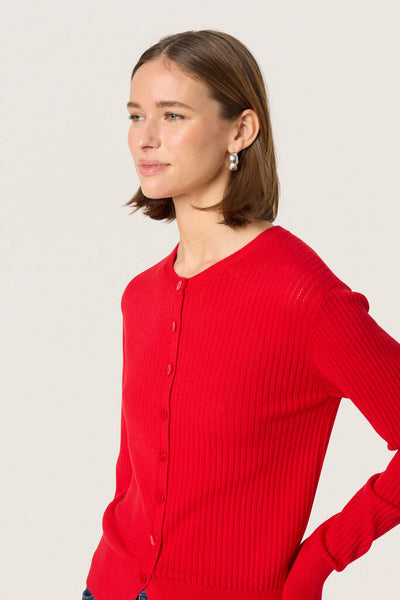 Soaked in Luxury 'Spina' Cardigan - Goji Berry