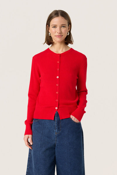 Soaked in Luxury 'Spina' Cardigan - Goji Berry