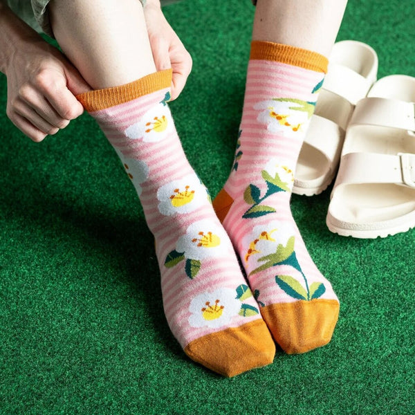 Friday Sock Co. Women's Pink Stripes Floral Socks