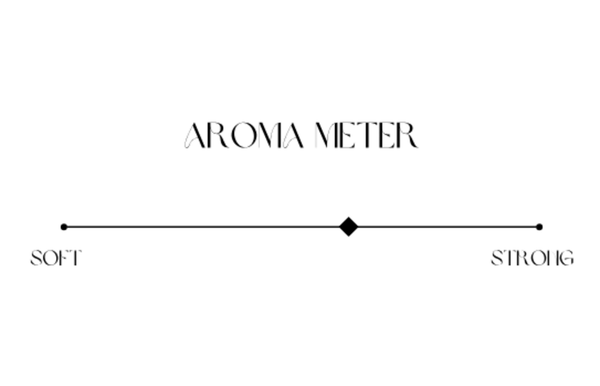 828 Aroma 'Exodus' Solid Cologne