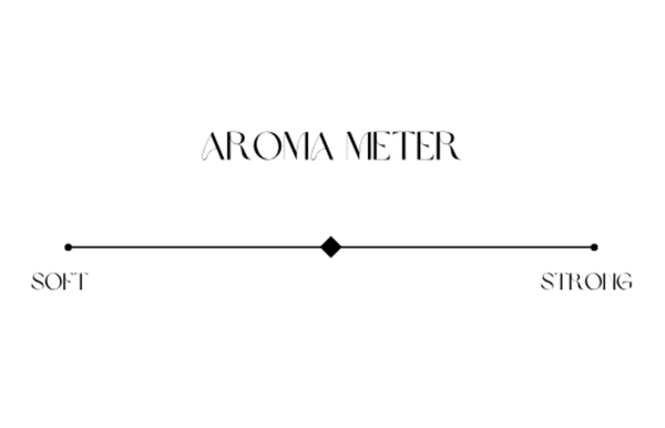 828 Aroma 'Midnight Mirage' Solid Perfume