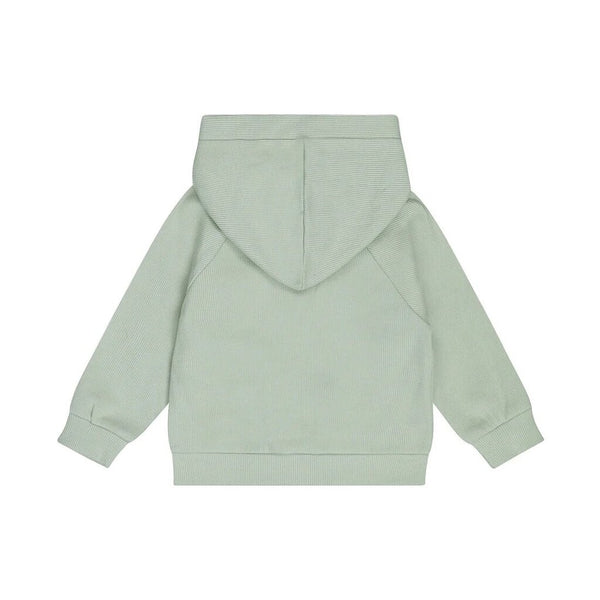 Dirkje Soft Green Hooded Cardigan