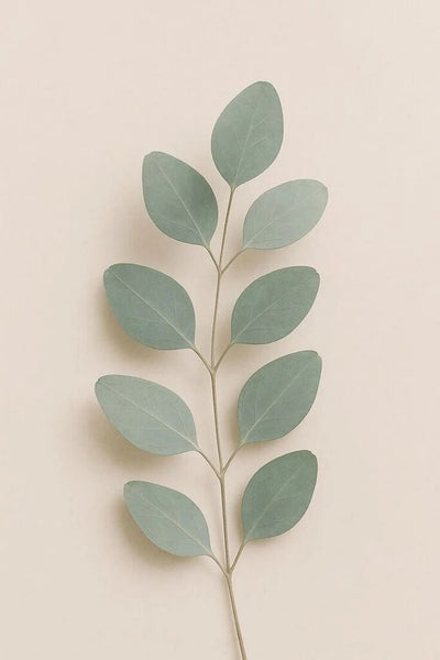 Rebels Refinery Hand Sanitizer - Lavender x Eucalyptus