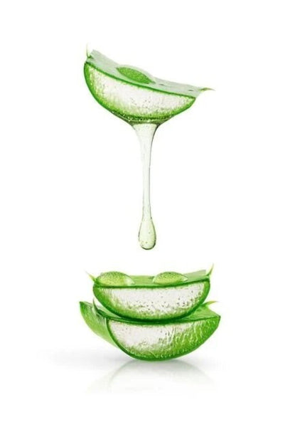 Rebels Refinery Hand Sanitizer - Aloe Mist