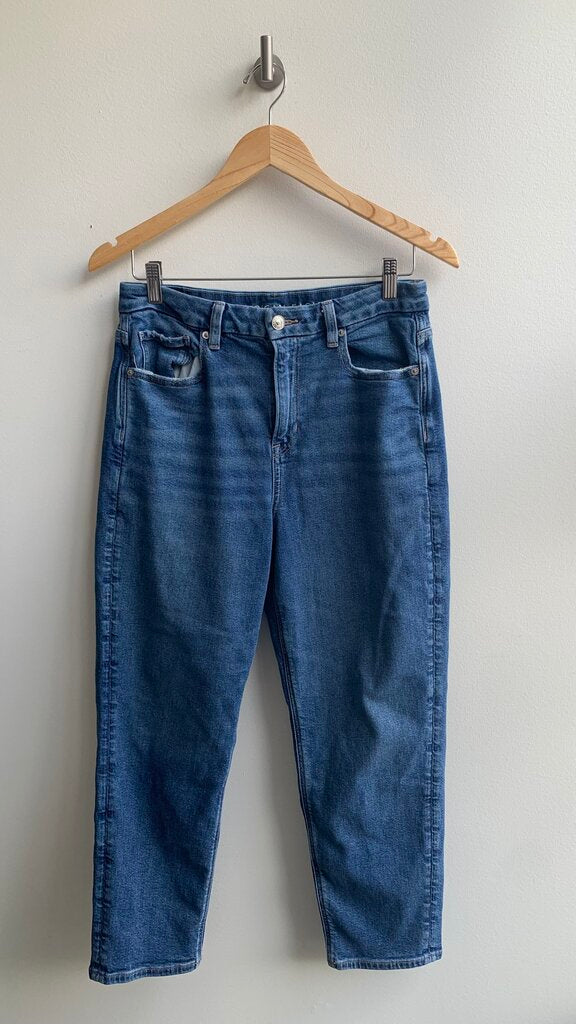 Pre-Owned American Eagle Medium Wash Curvy Mom Jean - Size 8