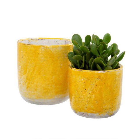 Indaba Trading Lemon Palette Pots